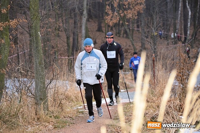 Zdjęcie w galerii na portalu naszwodzislaw.com: Nordic Walking i zimna kąpiel z morsami wiadomości z regionu