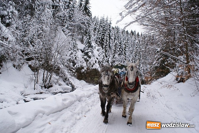Zdjęcie w galerii na portalu naszwodzislaw.com: FERIE 2013 w gminie Mszana - tydzień pierwszy  wiadomości z regionu