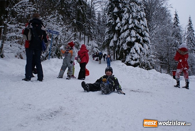 Zdjęcie w galerii na portalu naszwodzislaw.com: FERIE 2013 w gminie Mszana - tydzień pierwszy  wiadomości z regionu