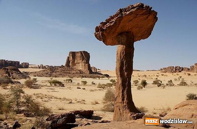 Zdjęcie w galerii na portalu naszwodzislaw.com: Festiwal Podróżników ROZJAZDY 2013 wiadomości z regionu