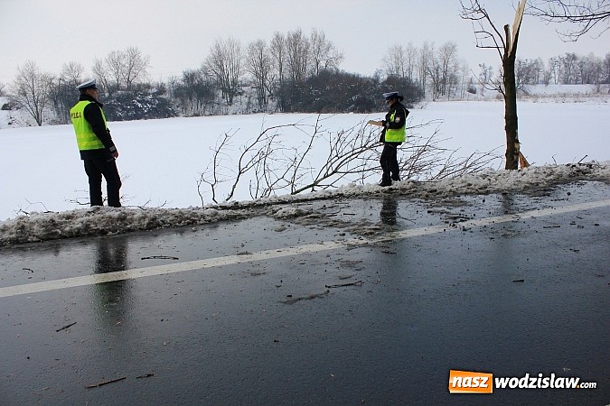 Zdjęcie w galerii na portalu naszwodzislaw.com: 26-letni mieszkaniec powiatu wodzisławskiego dachował w Raciborzu wiadomości z regionu