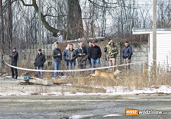 Zdjęcie w galerii na portalu naszwodzislaw.com: Rajdowcy rozpoczęli sezon w Kuźni Raciborskiej wiadomości z regionu