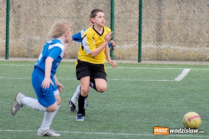 Zdjęcie w galerii na portalu naszwodzislaw.com: Orliki Rogowa rozstrzelane w Raciborzu wiadomości z regionu