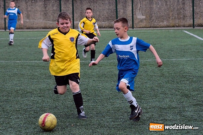 Zdjęcie w galerii na portalu naszwodzislaw.com: Orliki Rogowa rozstrzelane w Raciborzu wiadomości z regionu