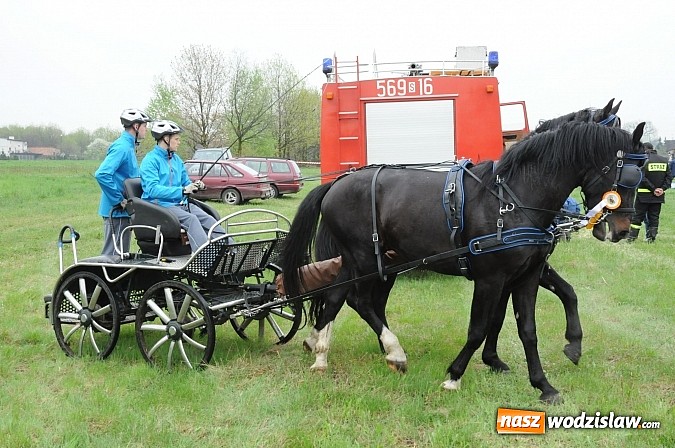 Zdjęcie w galerii na portalu naszwodzislaw.com: Wodzisławianie mistrzami w powożeniu wiadomości z regionu