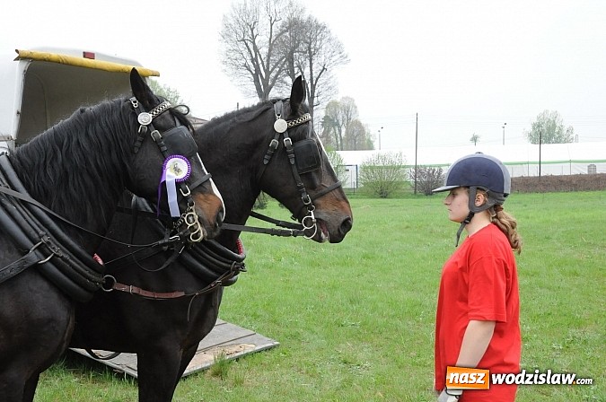 Zdjęcie w galerii na portalu naszwodzislaw.com: Wodzisławianie mistrzami w powożeniu wiadomości z regionu