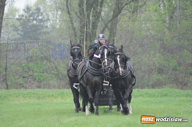 Zdjęcie w galerii na portalu naszwodzislaw.com: Wodzisławianie mistrzami w powożeniu wiadomości z regionu