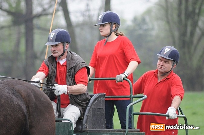 Zdjęcie w galerii na portalu naszwodzislaw.com: Wodzisławianie mistrzami w powożeniu wiadomości z regionu