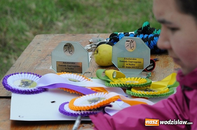 Zdjęcie w galerii na portalu naszwodzislaw.com: Wodzisławianie mistrzami w powożeniu wiadomości z regionu