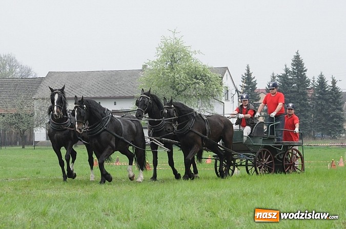 Zdjęcie w galerii na portalu naszwodzislaw.com: Wodzisławianie mistrzami w powożeniu wiadomości z regionu