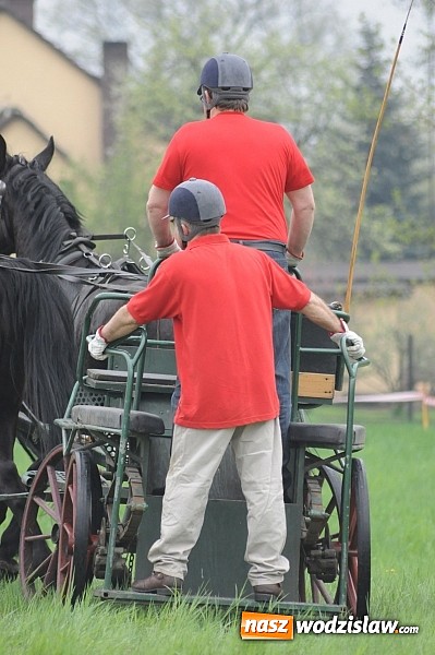 Zdjęcie w galerii na portalu naszwodzislaw.com: Wodzisławianie mistrzami w powożeniu wiadomości z regionu