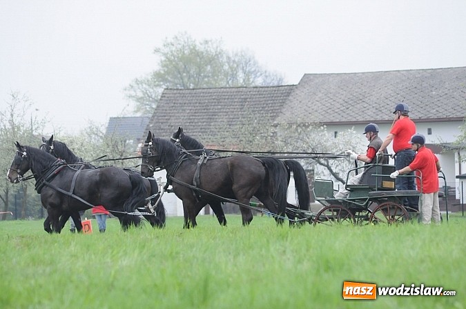 Zdjęcie w galerii na portalu naszwodzislaw.com: Wodzisławianie mistrzami w powożeniu wiadomości z regionu