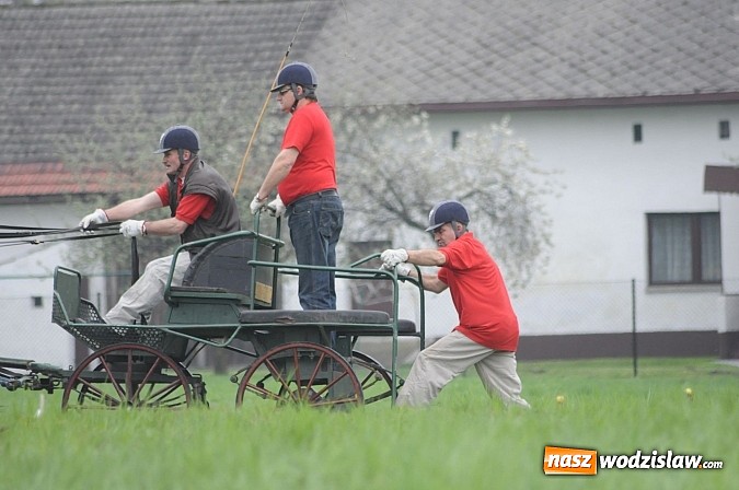 Zdjęcie w galerii na portalu naszwodzislaw.com: Wodzisławianie mistrzami w powożeniu wiadomości z regionu