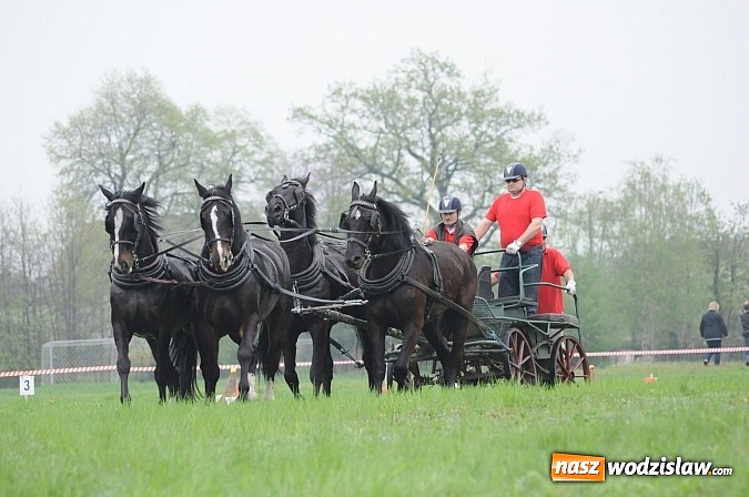 Zdjęcie w galerii na portalu naszwodzislaw.com: Wodzisławianie mistrzami w powożeniu wiadomości z regionu