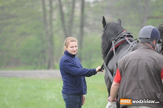 Zdjęcie w galerii na portalu naszwodzislaw.com: Wodzisławianie mistrzami w powożeniu wiadomości z regionu