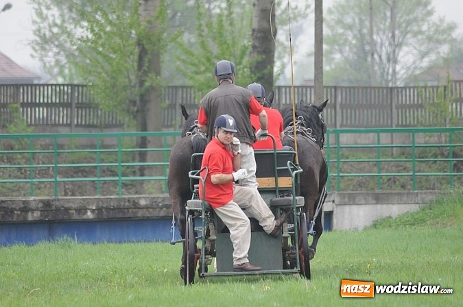 Zdjęcie w galerii na portalu naszwodzislaw.com: Wodzisławianie mistrzami w powożeniu wiadomości z regionu