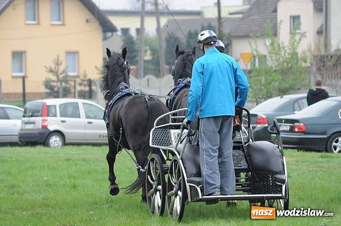 Zdjęcie w galerii na portalu naszwodzislaw.com: Wodzisławianie mistrzami w powożeniu wiadomości z regionu