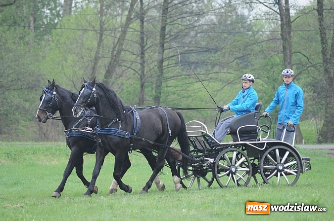 Zdjęcie w galerii na portalu naszwodzislaw.com: Wodzisławianie mistrzami w powożeniu wiadomości z regionu