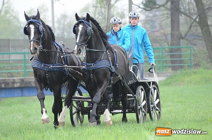 Zdjęcie w galerii na portalu naszwodzislaw.com: Wodzisławianie mistrzami w powożeniu wiadomości z regionu