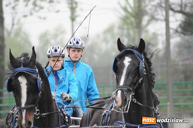 Zdjęcie w galerii na portalu naszwodzislaw.com: Wodzisławianie mistrzami w powożeniu wiadomości z regionu