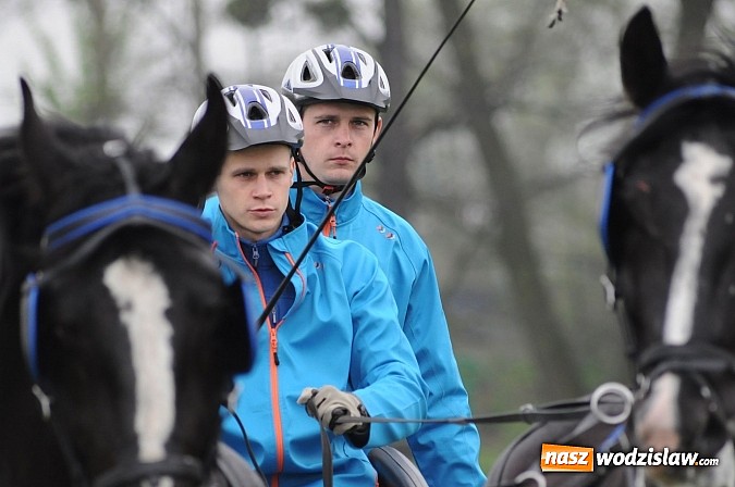 Zdjęcie w galerii na portalu naszwodzislaw.com: Wodzisławianie mistrzami w powożeniu wiadomości z regionu