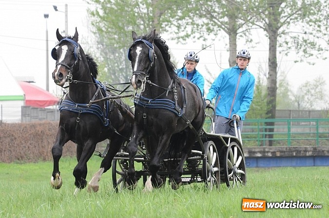 Zdjęcie w galerii na portalu naszwodzislaw.com: Wodzisławianie mistrzami w powożeniu wiadomości z regionu