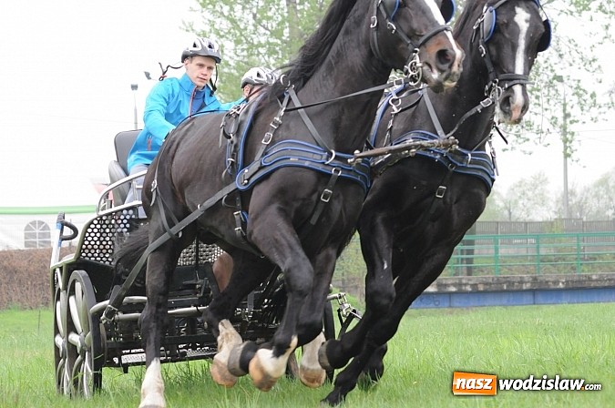 Zdjęcie w galerii na portalu naszwodzislaw.com: Wodzisławianie mistrzami w powożeniu wiadomości z regionu