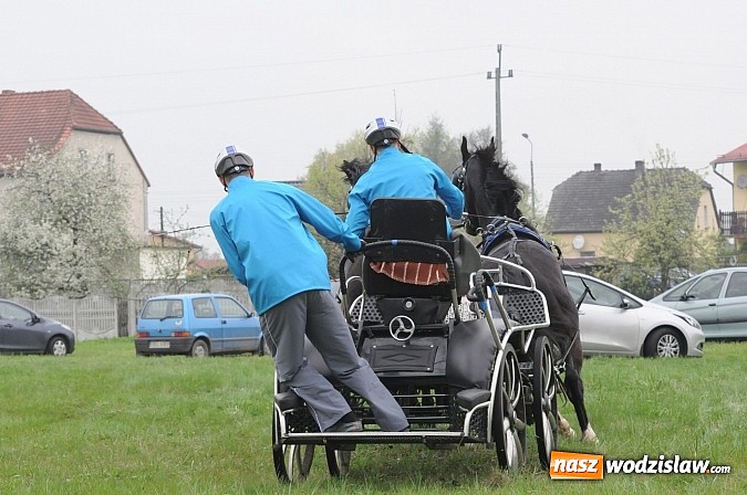Zdjęcie w galerii na portalu naszwodzislaw.com: Wodzisławianie mistrzami w powożeniu wiadomości z regionu
