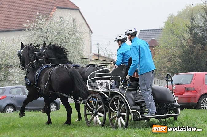 Zdjęcie w galerii na portalu naszwodzislaw.com: Wodzisławianie mistrzami w powożeniu wiadomości z regionu