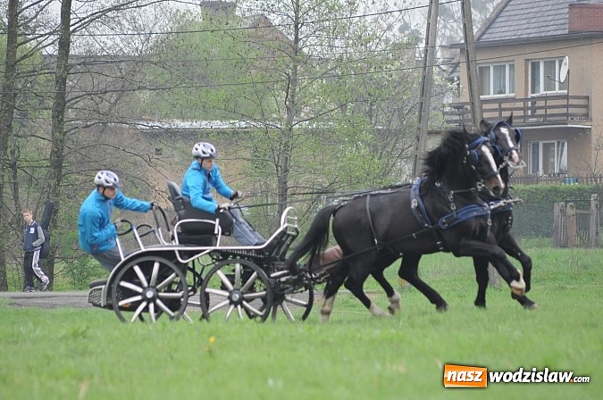 Zdjęcie w galerii na portalu naszwodzislaw.com: Wodzisławianie mistrzami w powożeniu wiadomości z regionu