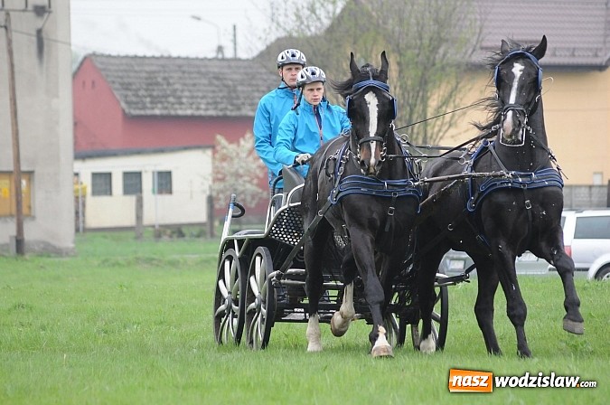 Zdjęcie w galerii na portalu naszwodzislaw.com: Wodzisławianie mistrzami w powożeniu wiadomości z regionu