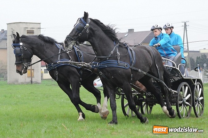 Zdjęcie w galerii na portalu naszwodzislaw.com: Wodzisławianie mistrzami w powożeniu wiadomości z regionu