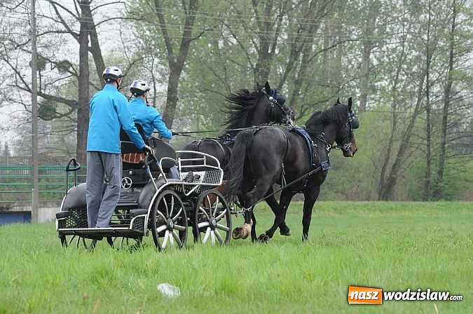 Zdjęcie w galerii na portalu naszwodzislaw.com: Wodzisławianie mistrzami w powożeniu wiadomości z regionu