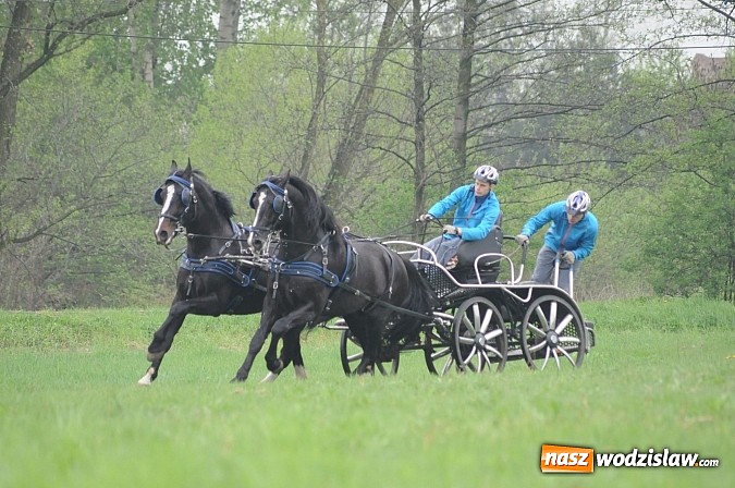 Zdjęcie w galerii na portalu naszwodzislaw.com: Wodzisławianie mistrzami w powożeniu wiadomości z regionu