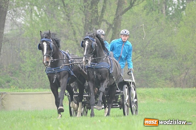 Zdjęcie w galerii na portalu naszwodzislaw.com: Wodzisławianie mistrzami w powożeniu wiadomości z regionu