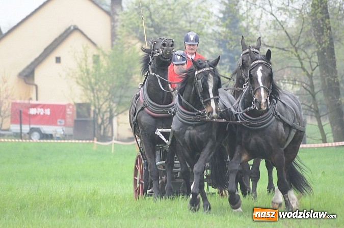 Zdjęcie w galerii na portalu naszwodzislaw.com: Wodzisławianie mistrzami w powożeniu wiadomości z regionu