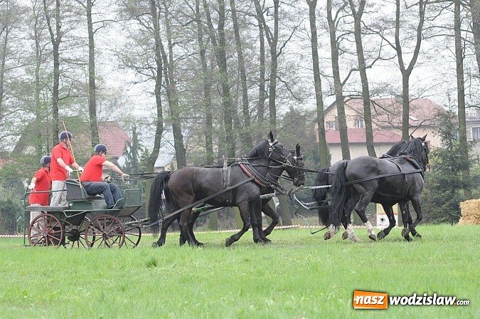 Zdjęcie w galerii na portalu naszwodzislaw.com: Wodzisławianie mistrzami w powożeniu wiadomości z regionu