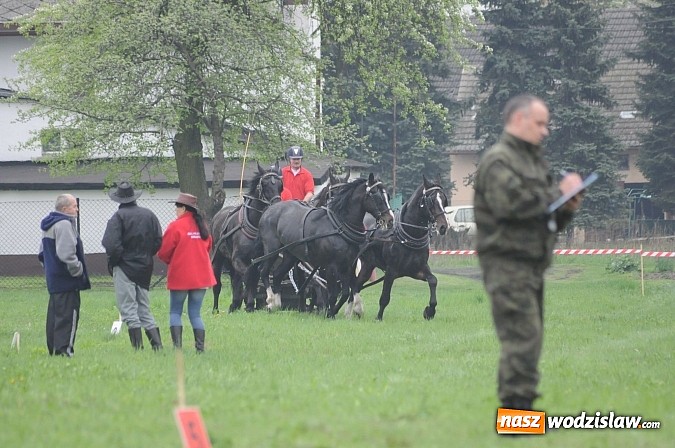 Zdjęcie w galerii na portalu naszwodzislaw.com: Wodzisławianie mistrzami w powożeniu wiadomości z regionu