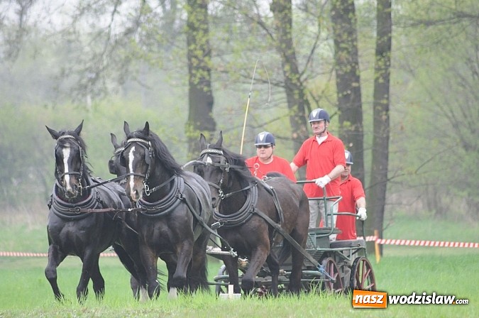 Zdjęcie w galerii na portalu naszwodzislaw.com: Wodzisławianie mistrzami w powożeniu wiadomości z regionu