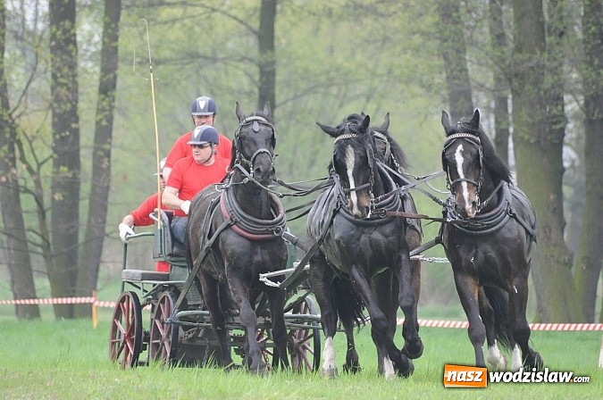 Zdjęcie w galerii na portalu naszwodzislaw.com: Wodzisławianie mistrzami w powożeniu wiadomości z regionu