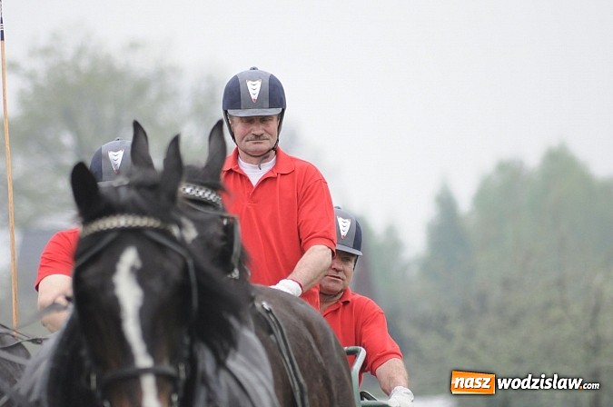 Zdjęcie w galerii na portalu naszwodzislaw.com: Wodzisławianie mistrzami w powożeniu wiadomości z regionu