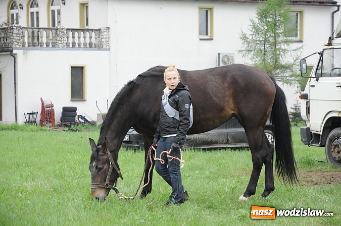 Zdjęcie w galerii na portalu naszwodzislaw.com: Wodzisławianie mistrzami w powożeniu wiadomości z regionu