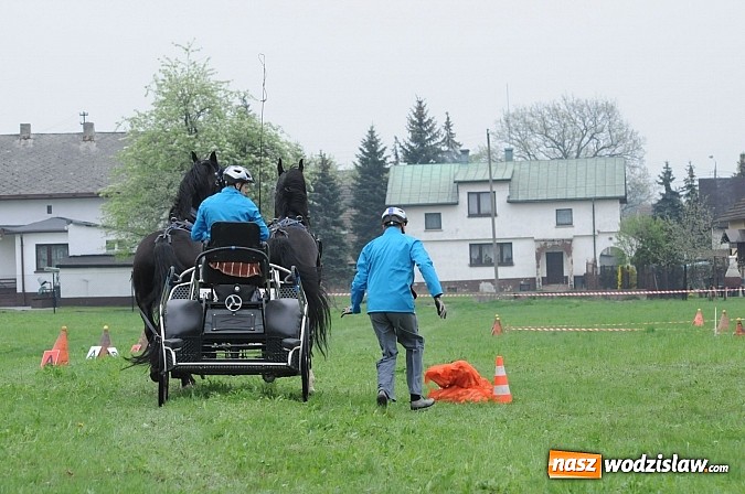 Zdjęcie w galerii na portalu naszwodzislaw.com: Wodzisławianie mistrzami w powożeniu wiadomości z regionu