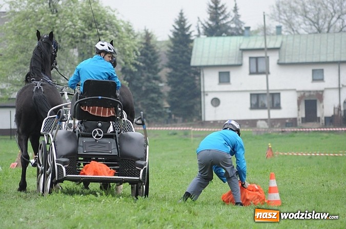 Zdjęcie w galerii na portalu naszwodzislaw.com: Wodzisławianie mistrzami w powożeniu wiadomości z regionu