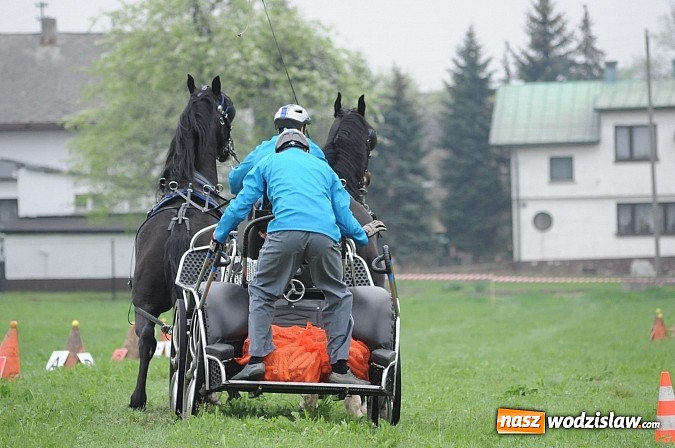 Zdjęcie w galerii na portalu naszwodzislaw.com: Wodzisławianie mistrzami w powożeniu wiadomości z regionu