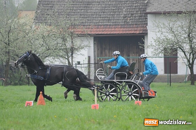 Zdjęcie w galerii na portalu naszwodzislaw.com: Wodzisławianie mistrzami w powożeniu wiadomości z regionu