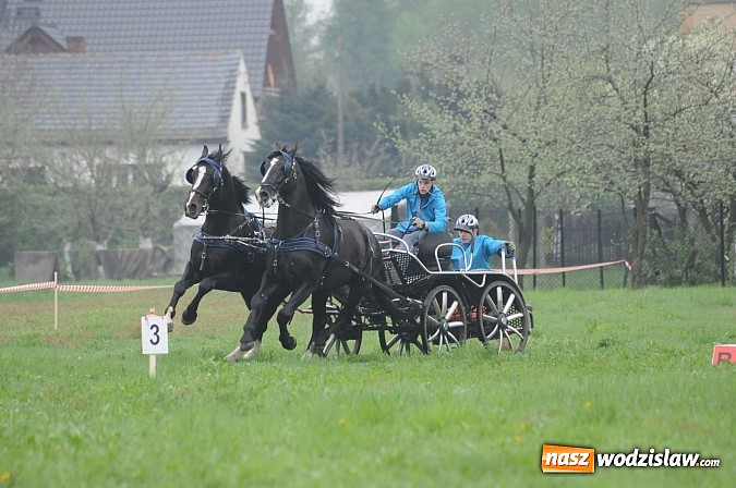 Zdjęcie w galerii na portalu naszwodzislaw.com: Wodzisławianie mistrzami w powożeniu wiadomości z regionu