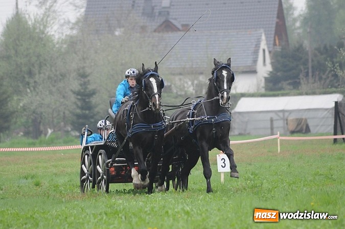 Zdjęcie w galerii na portalu naszwodzislaw.com: Wodzisławianie mistrzami w powożeniu wiadomości z regionu