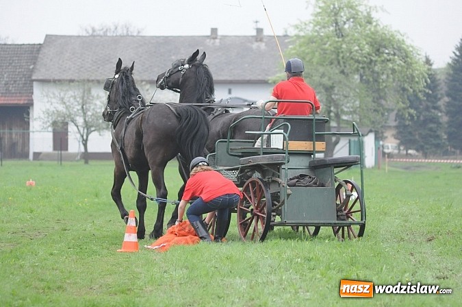 Zdjęcie w galerii na portalu naszwodzislaw.com: Wodzisławianie mistrzami w powożeniu wiadomości z regionu
