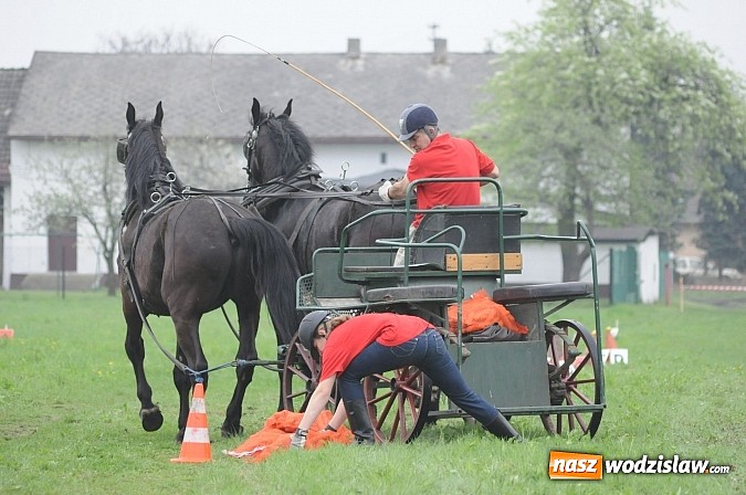 Zdjęcie w galerii na portalu naszwodzislaw.com: Wodzisławianie mistrzami w powożeniu wiadomości z regionu